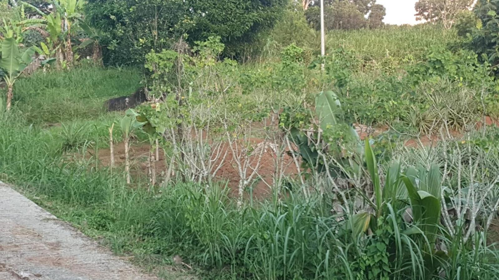 Villa Les Mahoganys Riviere-Salee Zewnętrze zdjęcie